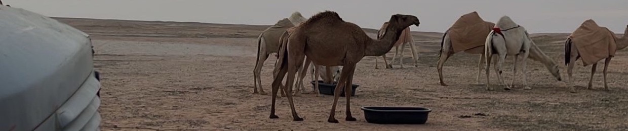 فهد الدوسري