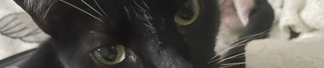 𝓒𝓻𝓮𝓪𝓶𝔂