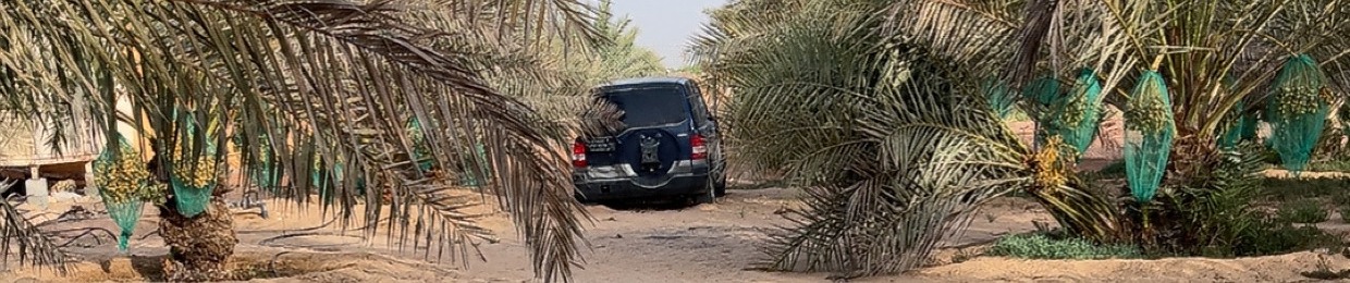 Alqaydi