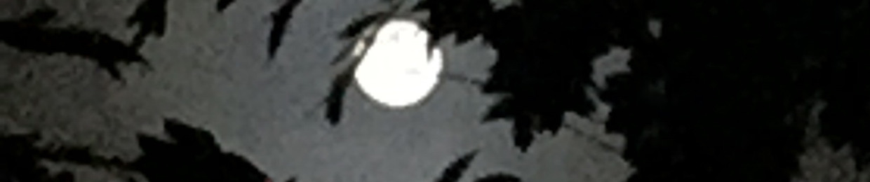 Cly_