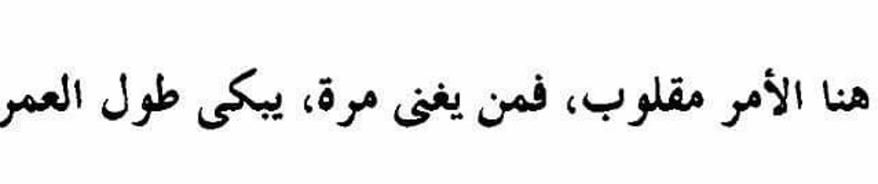 Mohamed Elmoghazy 3