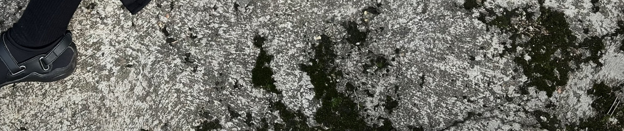 A13