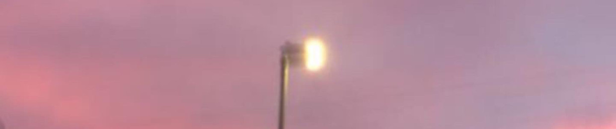 Logan Lidbetter-smith