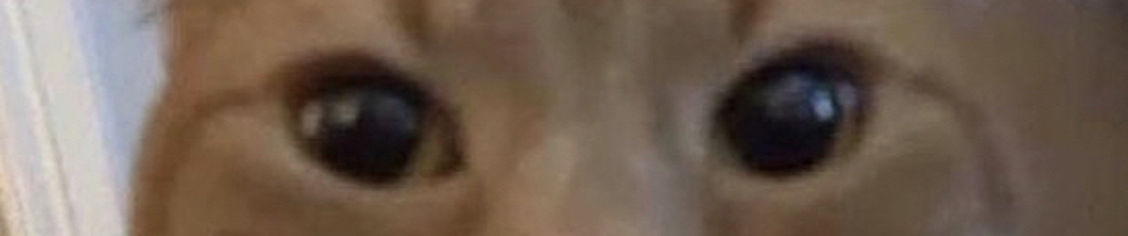 kazzie