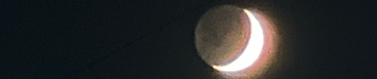 haydn’s 🏡    ᥫ᭡