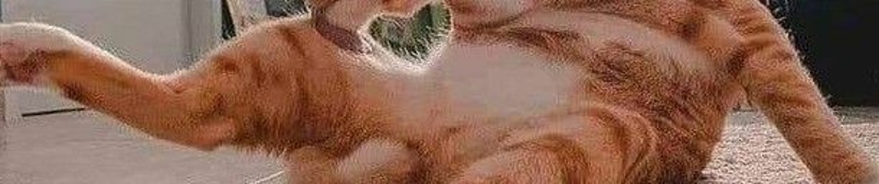 ጕልክየሃልቿ ሠጎክ