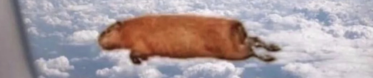 stvpidpr3tty
