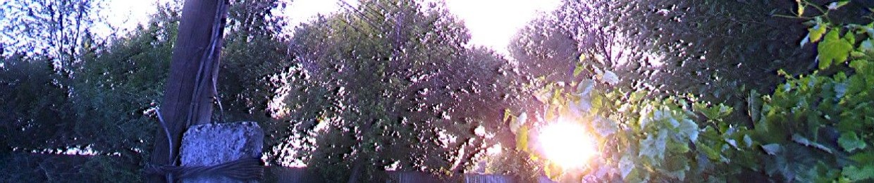 ༼꧅꧁ӄԞᶓ𝖗ȵꬴŀƤⲁɲϊƈ‡᳄〲சூழ்நிலை㍐𓀀 𓀁 𓀂 𓀃 𓀄冷靜𒐷