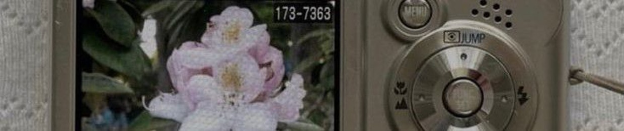 ✧─ ･★: *.manal.* :★. ─✧