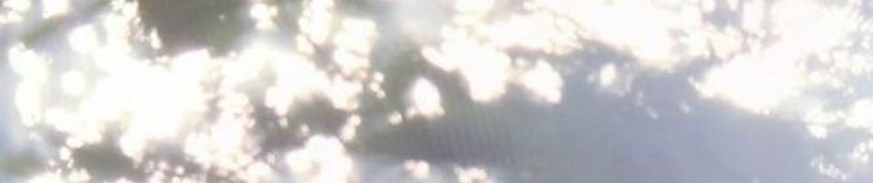 big wallet stepper (@bwsbwsbws)