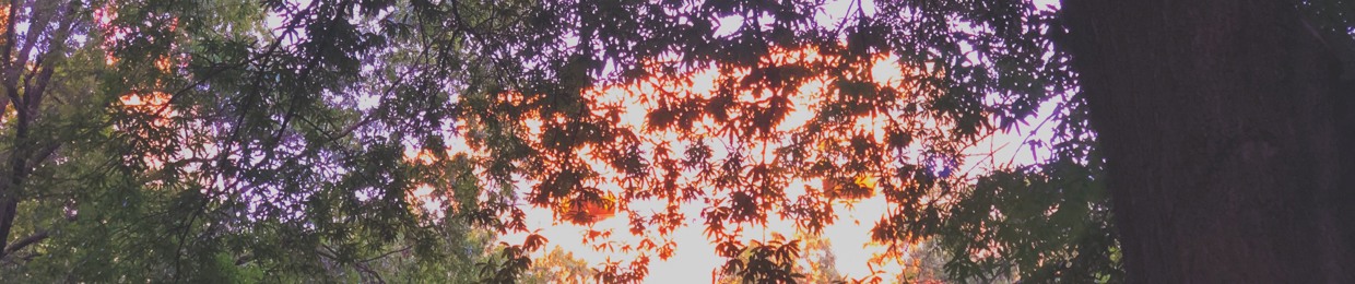 SKYRATED-R