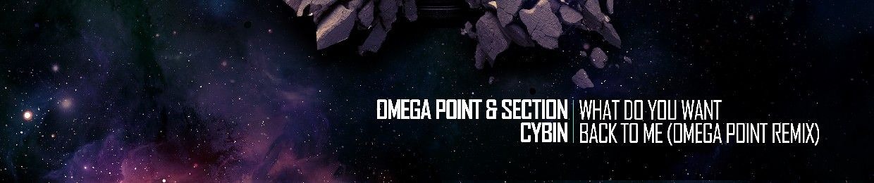 Omega Point DnB