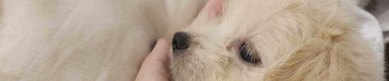 Luni