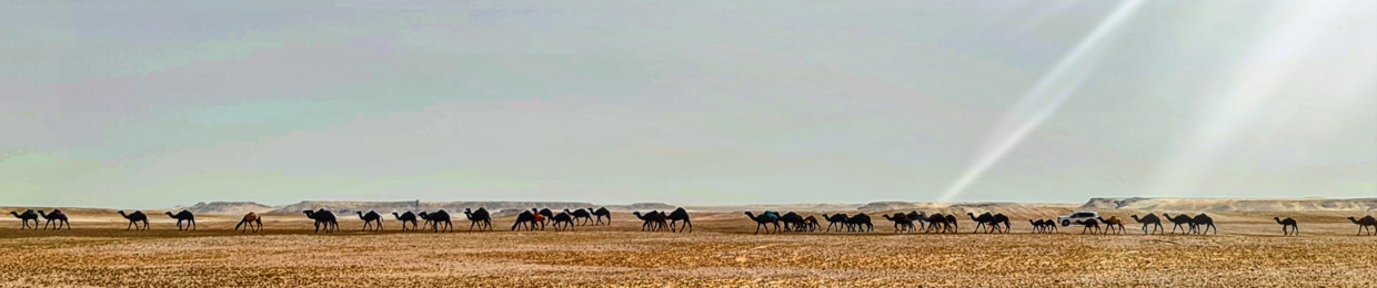 بَحر