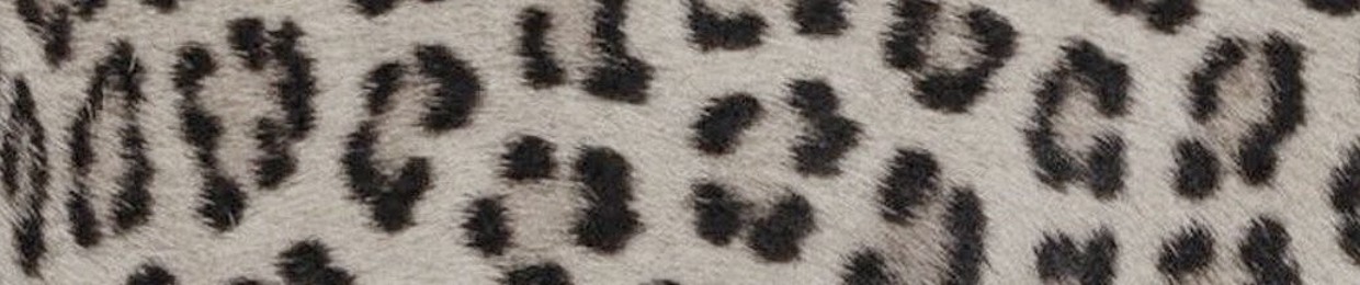 xuxhia