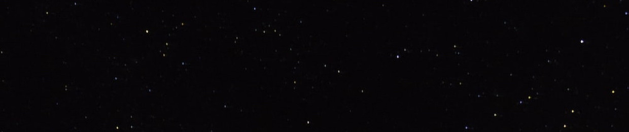 MARK137