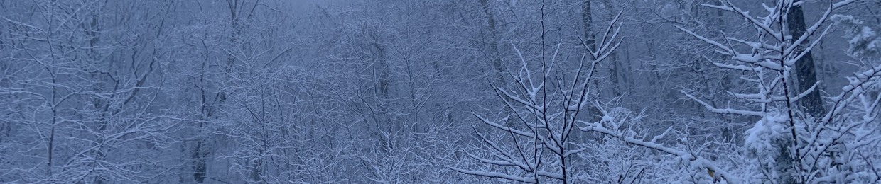 breean.aeps- my insta