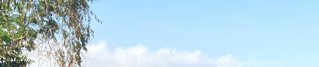 Richard Luis barbosa