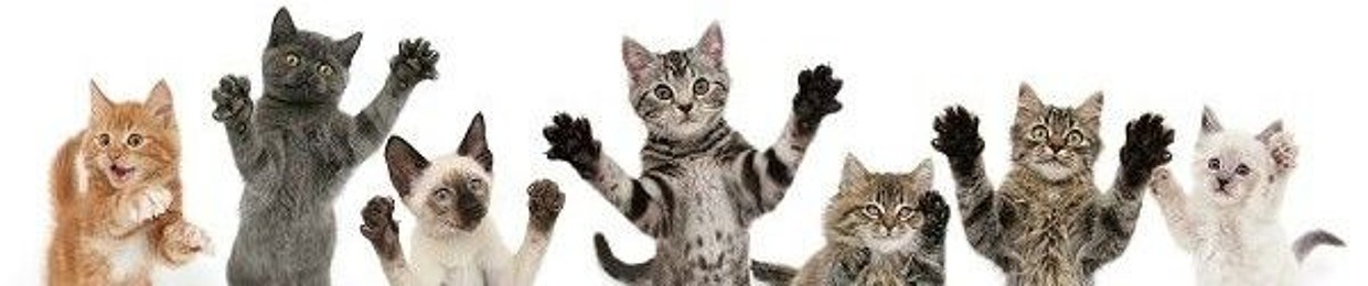 β¦ . π³πππ
πΏ