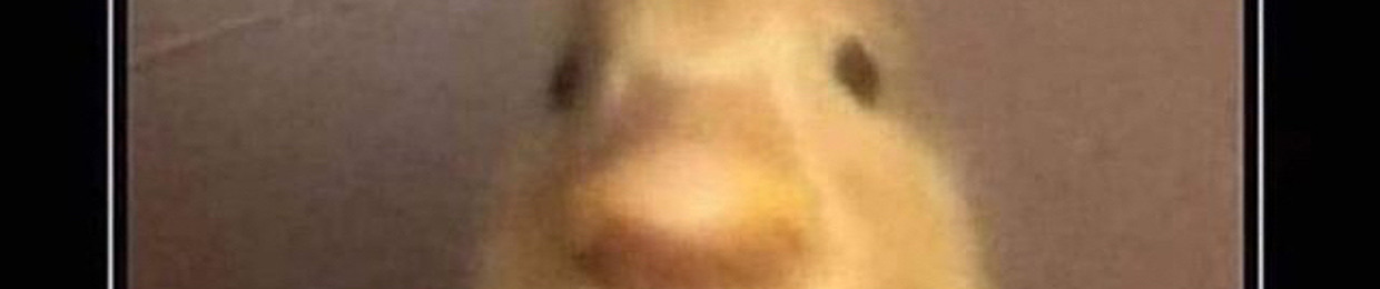 Mudkip