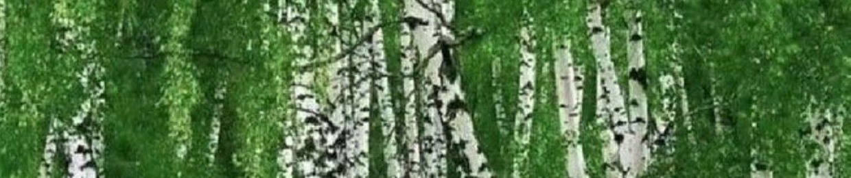 1mKami