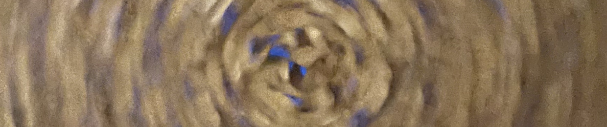 Ant
