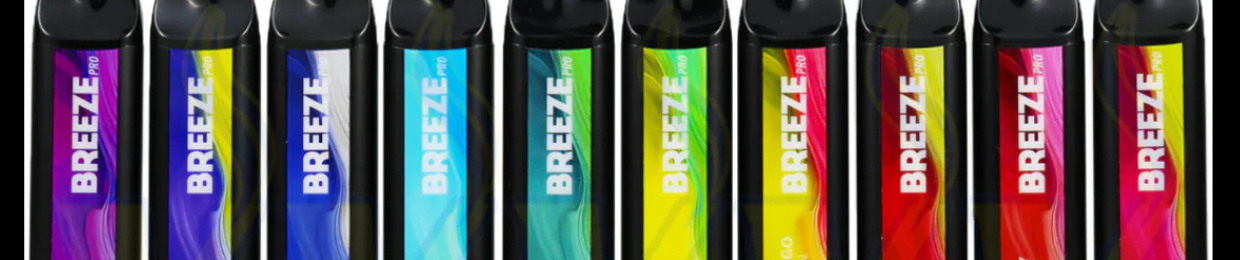 lil breeze pro
