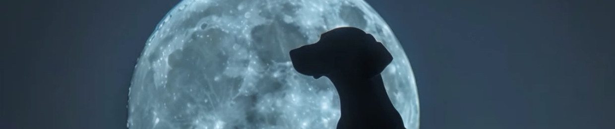 moon dog