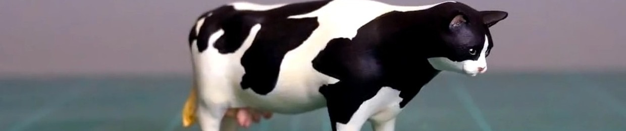 Cow