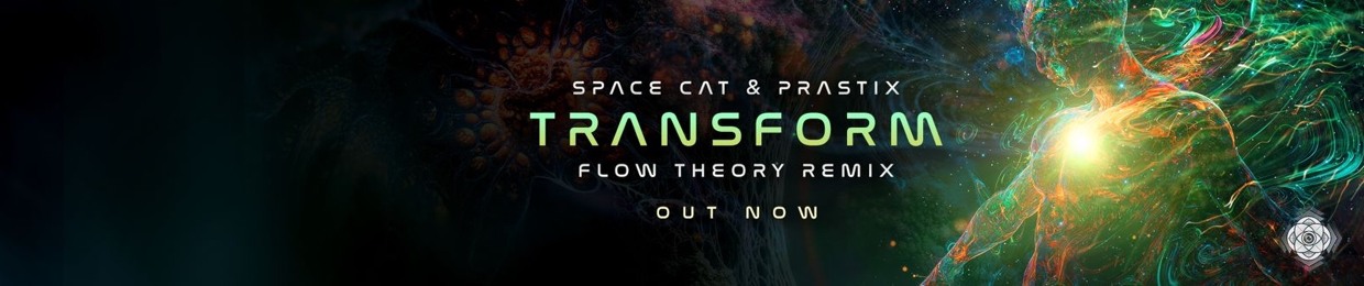 Flow Theory