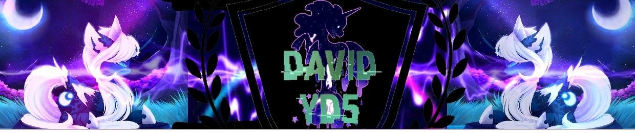 DAVID YD5 ( offial)