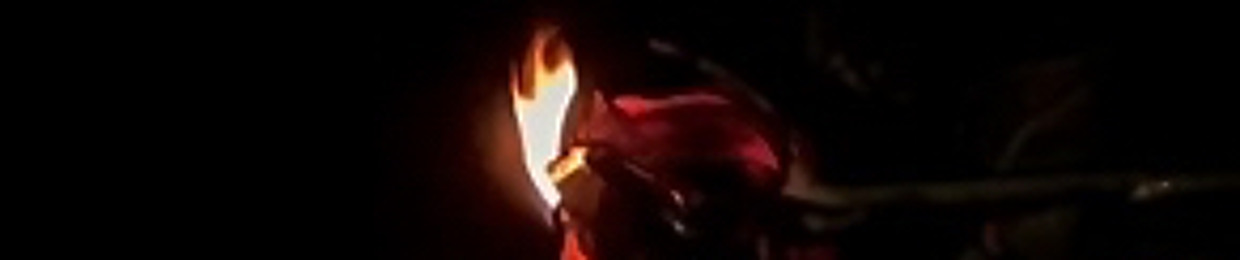 doflaminhlo