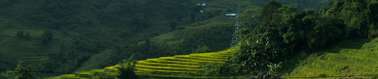 nguyendinhtrong