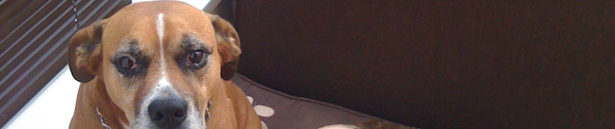 Theo
