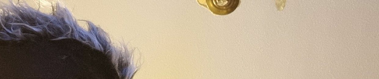 Jan ferenz Weizinger