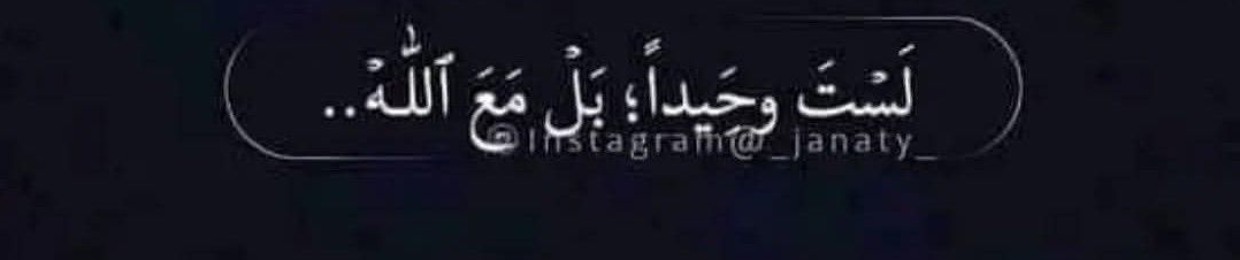 Nader Al-Sayed