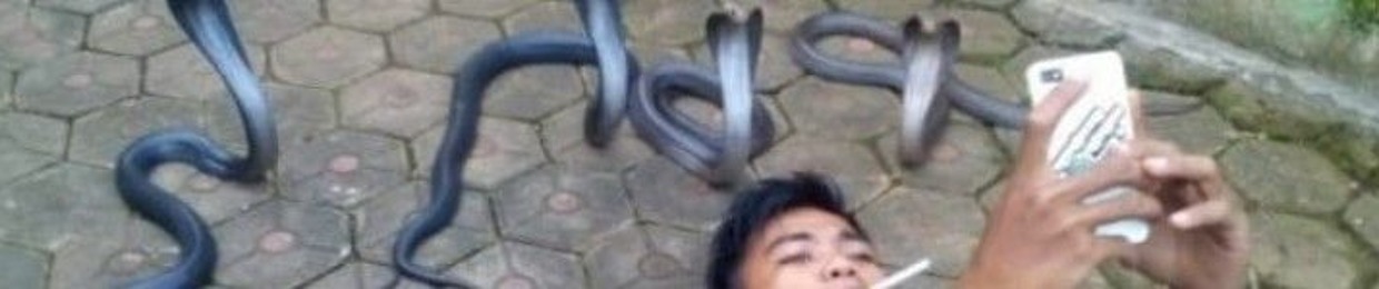 pask00da