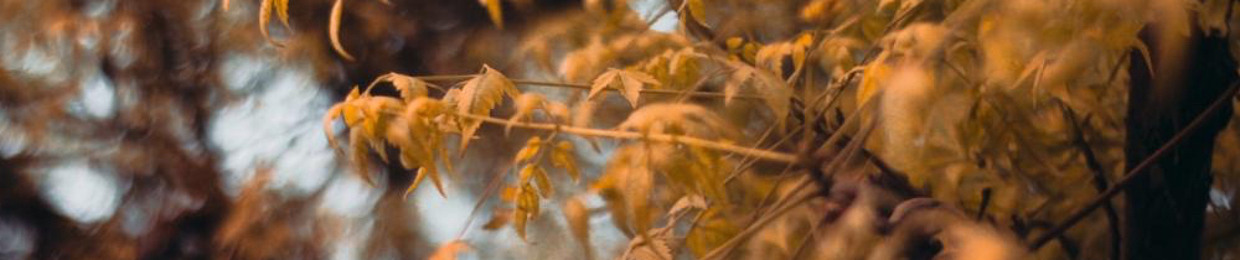 Ahtasham Khokhar