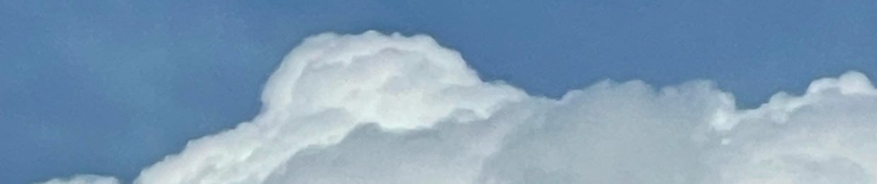 そみ