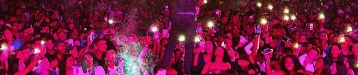 Mc Dg