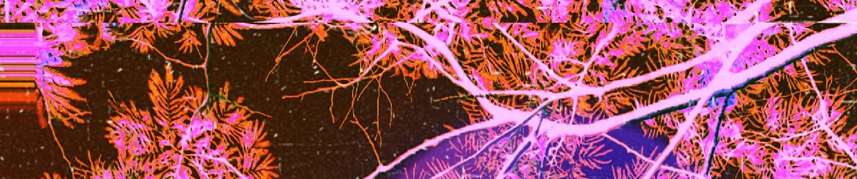 cursedchords.wav