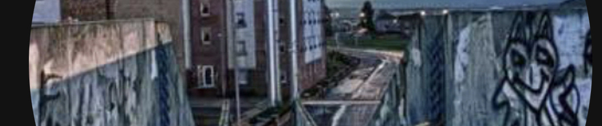 IAN DL !!!!UP YER JAWZ🖕🏻!!!!