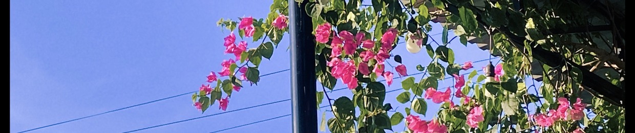 Chút ♡