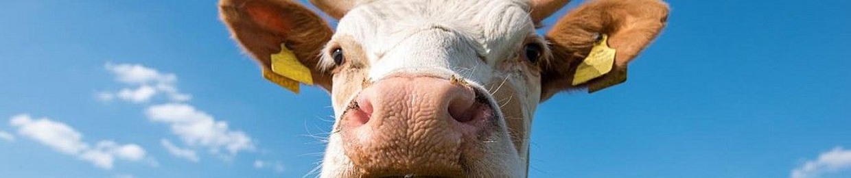 urbexing.cow🐄