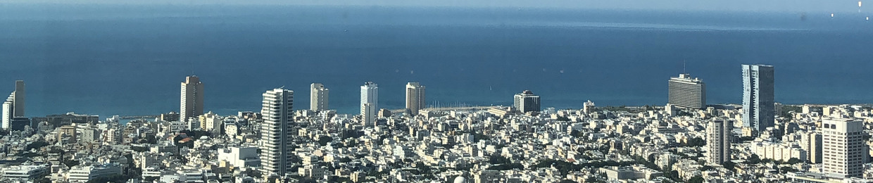 Maayan Arditi