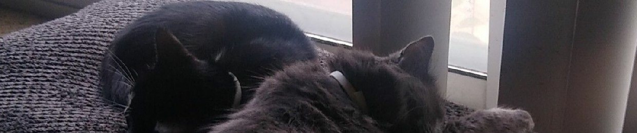 TrshPanda