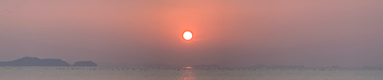 Nguyễn Thị Nhật Lệ