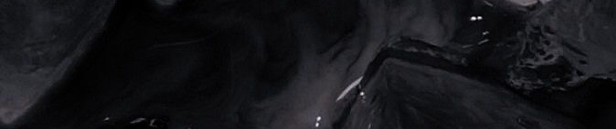 Nnhims