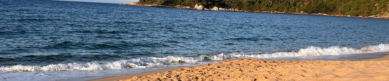 João Victor Lima Araújo