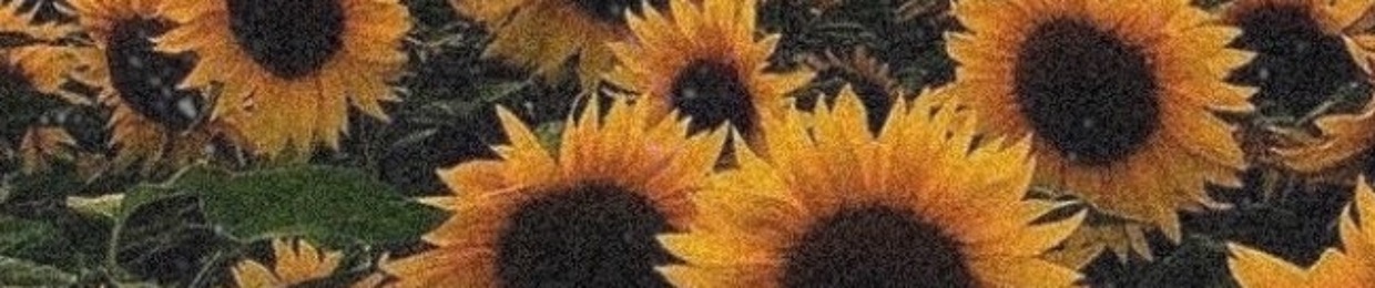 ❥︎𝐾𝑎𝑦𝑋𝑎𝑒𝑛̃𝑎ℎ❥︎